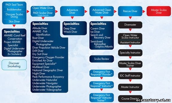 Схема обучения по системе PADI